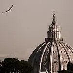Ficus Corner - Vatican