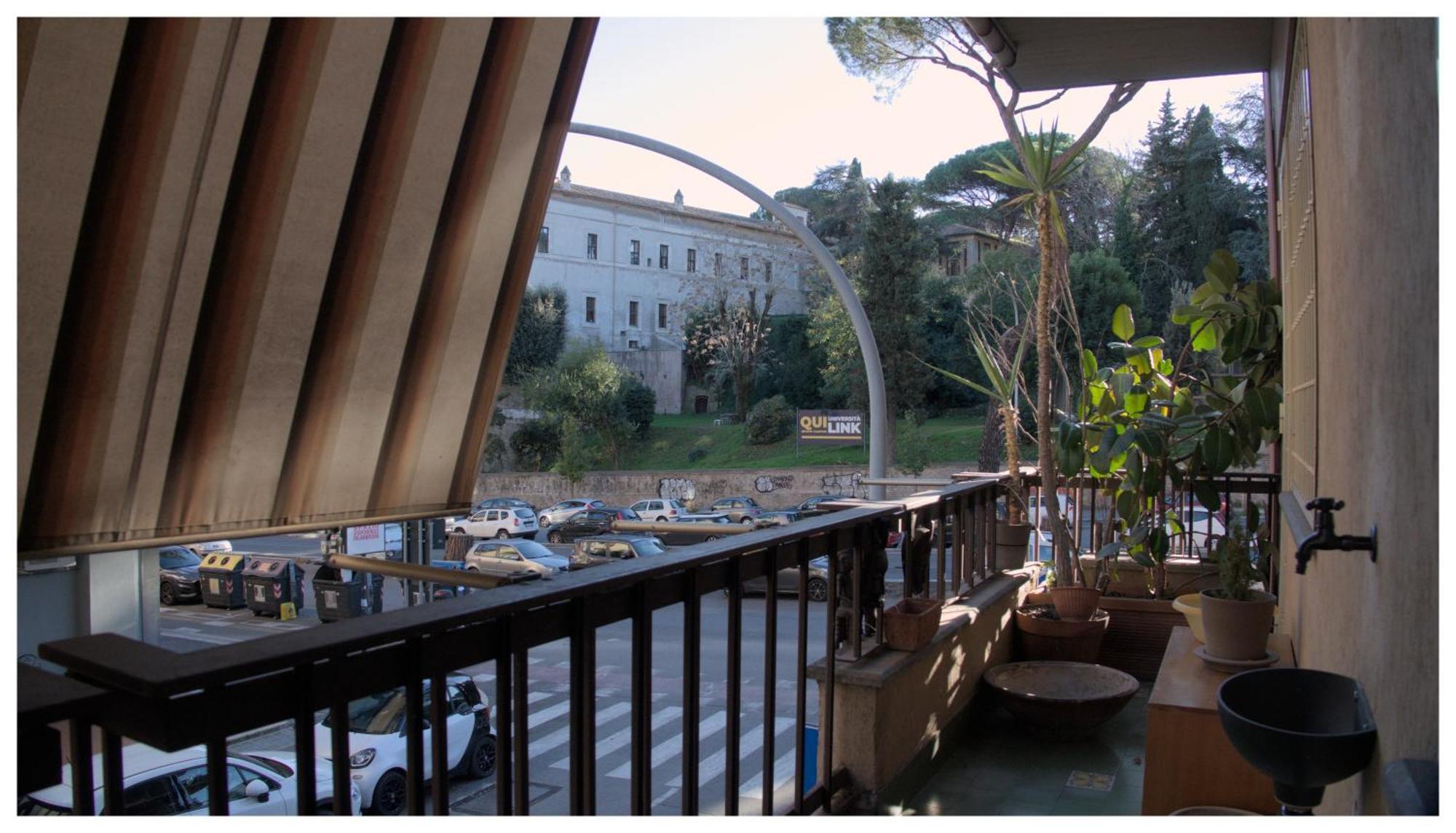 Ficus Corner - Vatican Roma